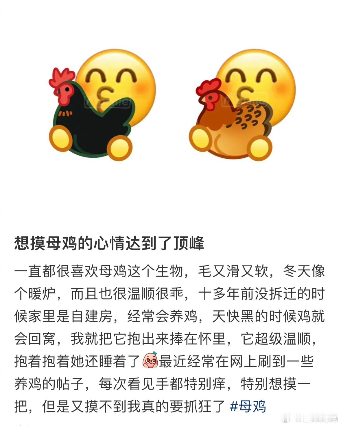 任何人都可以上网，包括黄鼠狼[赞] ​​​