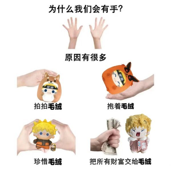 1494、【毛绒】为什么我们有手 ​​​