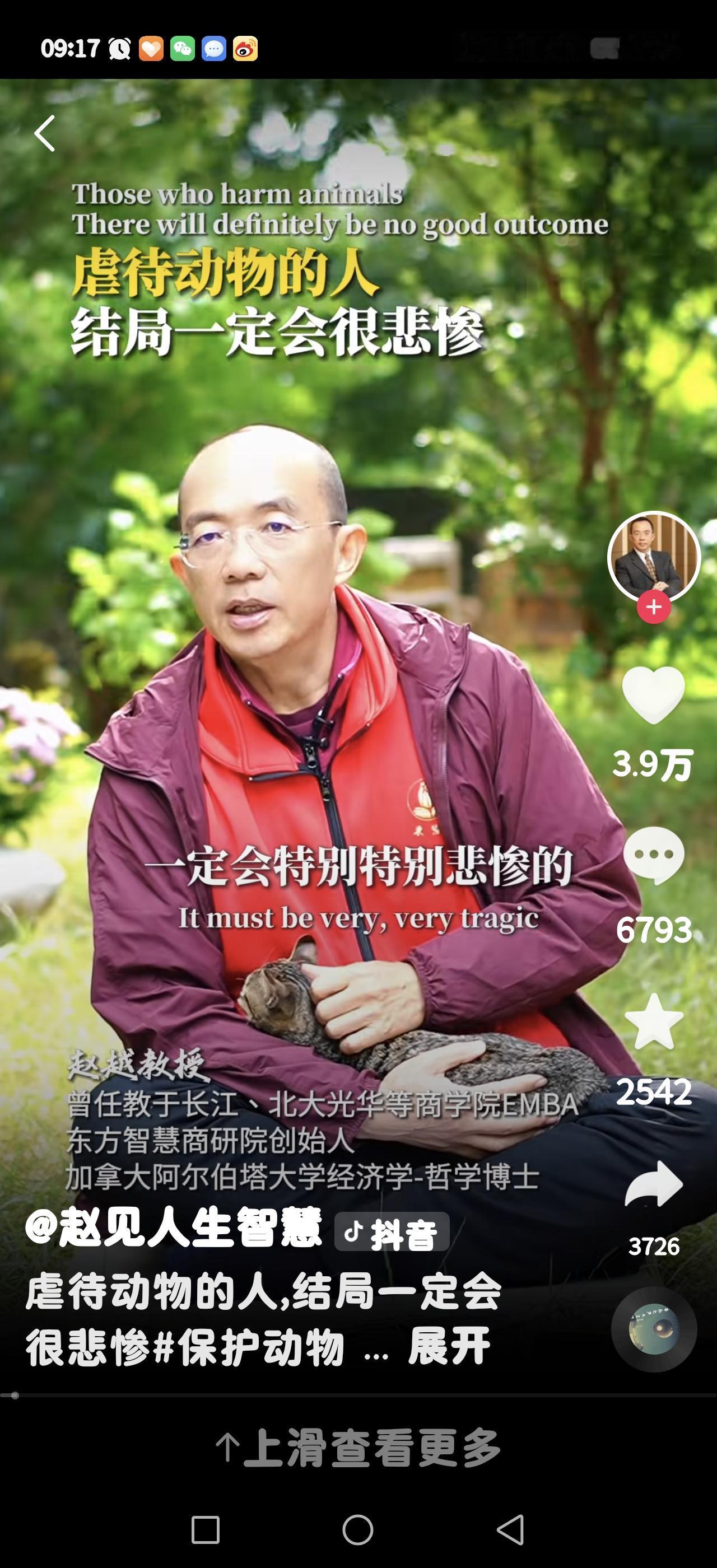从心理学和犯罪学研究来看，虐待动物常常是“暴力行为升级链条”中的早期表现，部分具