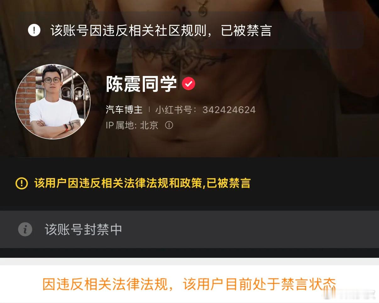 陈震多平台被禁言 不管出于什么原因，陈震被封禁这件事本身没得黑 7000法务胜利