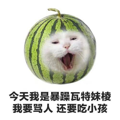 “太阳公公”我不行了，这是真婴鹅……
