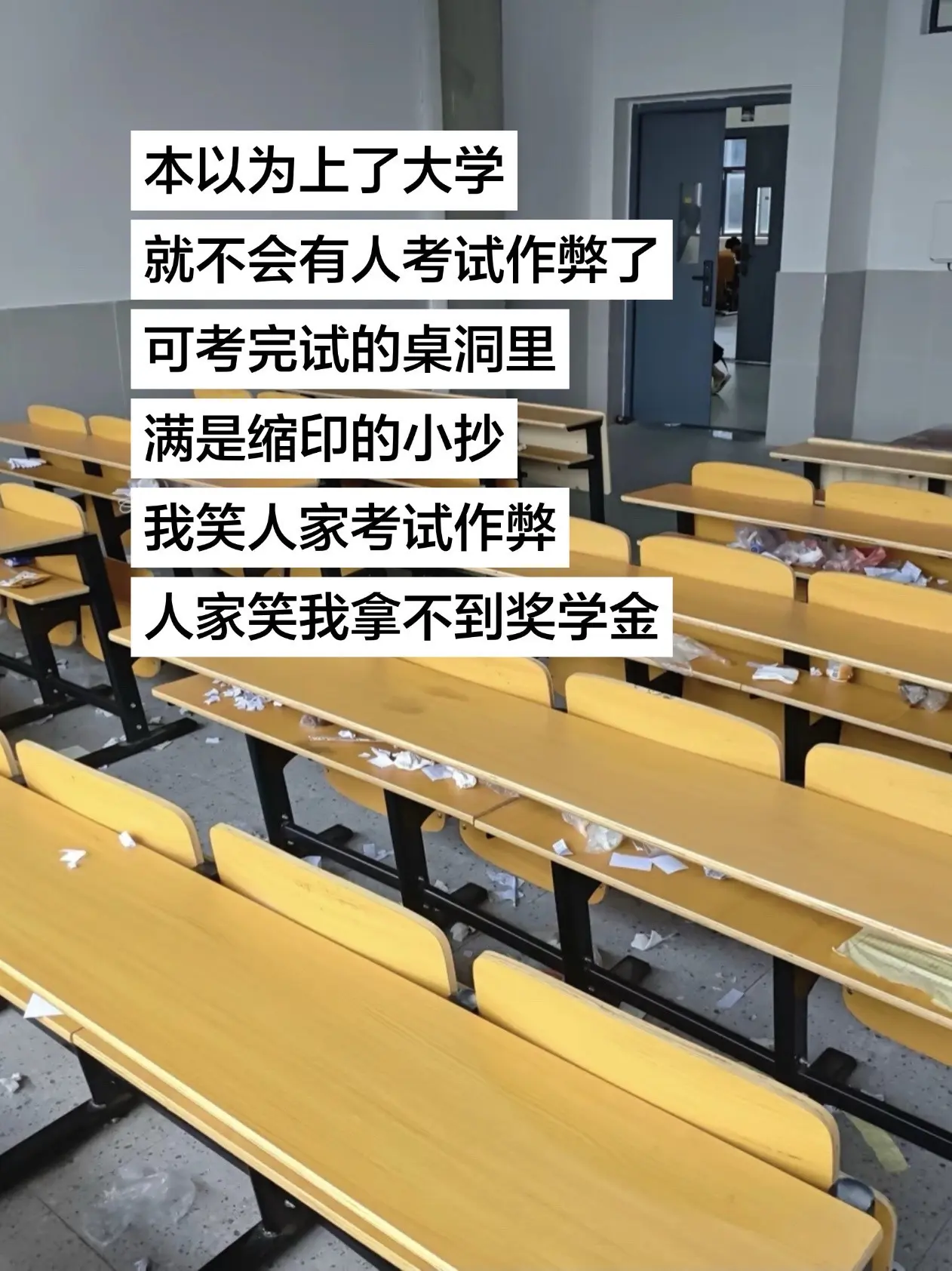 人家笑我拿不到奖学金。