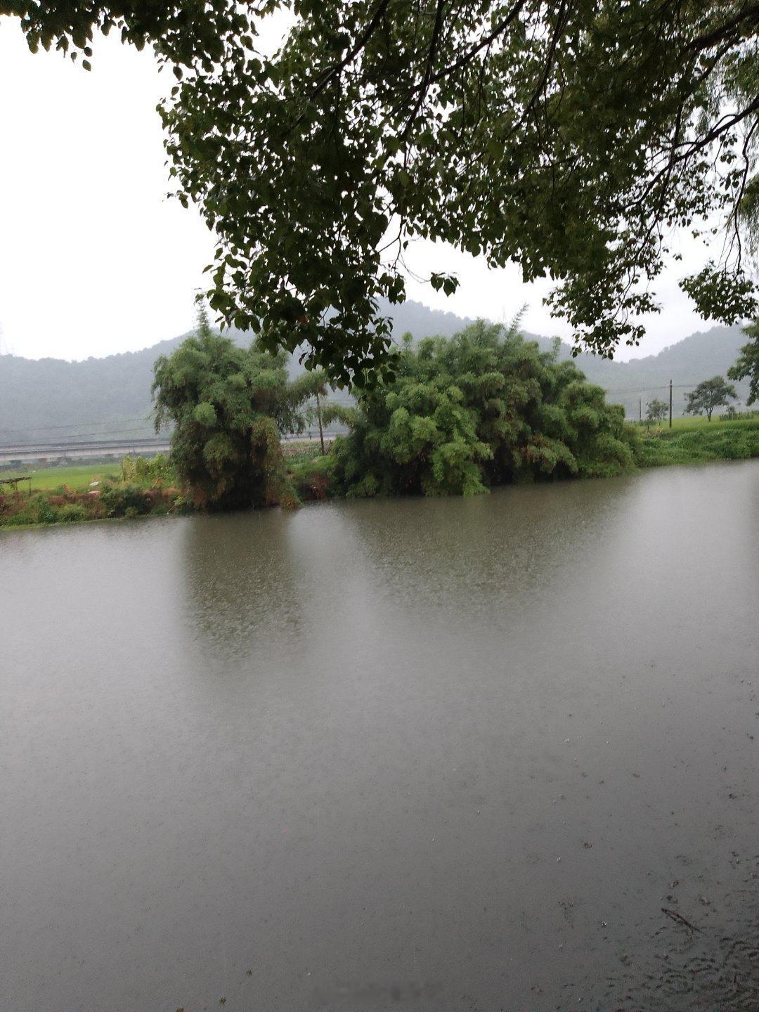 今天下了一天的雨.梅雨来了