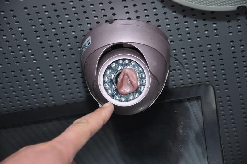 10月19日广东广州，女子花30元网购摄像头监看自家猫吃饭，意外看到别人家卫生间