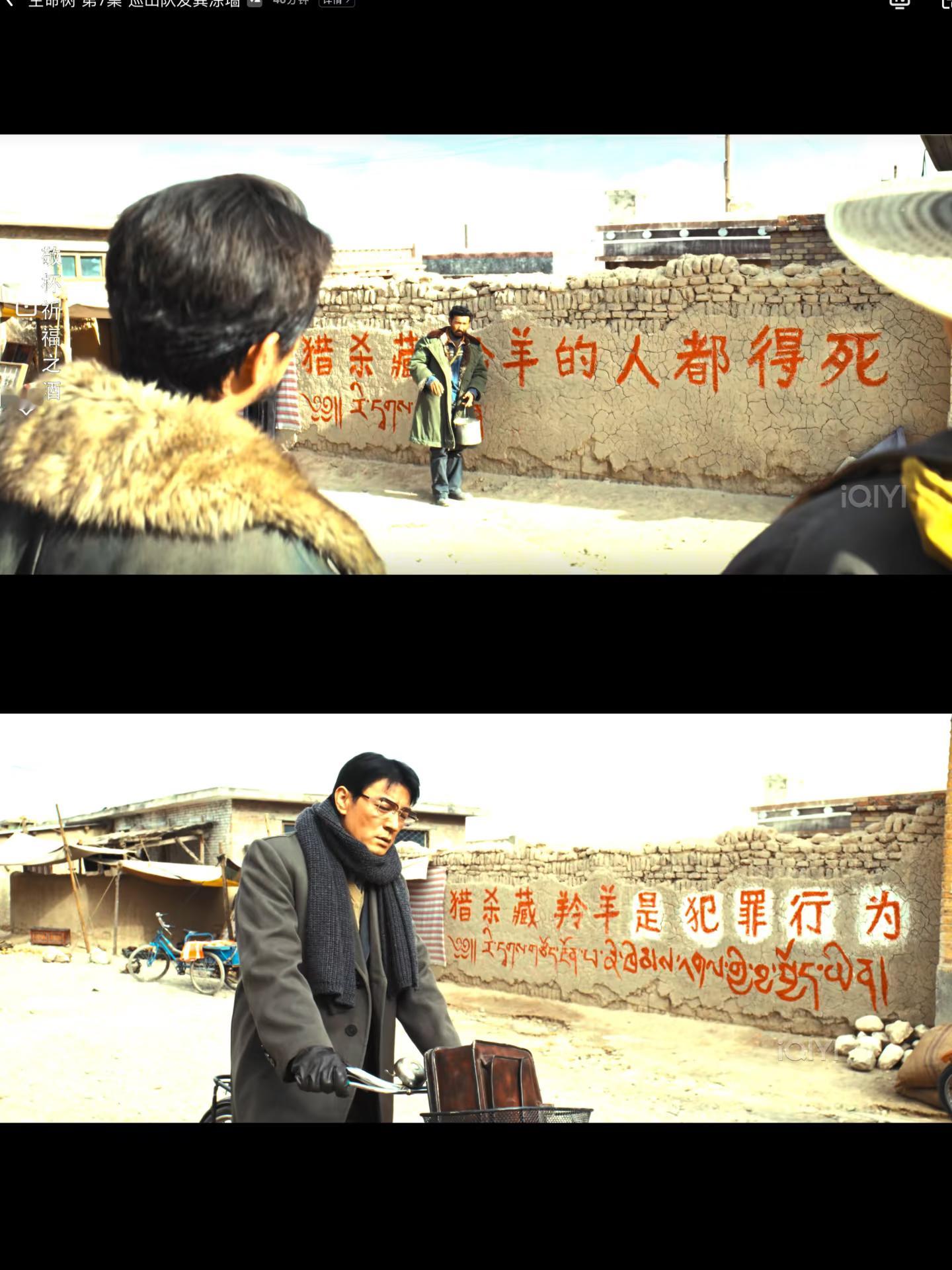 杨紫张哲华狼狗系意外好嗑 有没有懂藏语的，他们说藏语没有改生命树