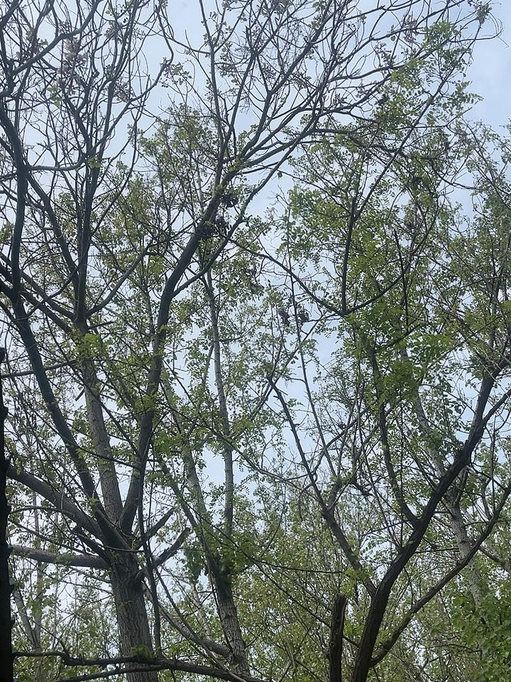 同学家的天塌了！

昨天下午，老同学家的独子，突发急症（心梗），送医抢救无效离世