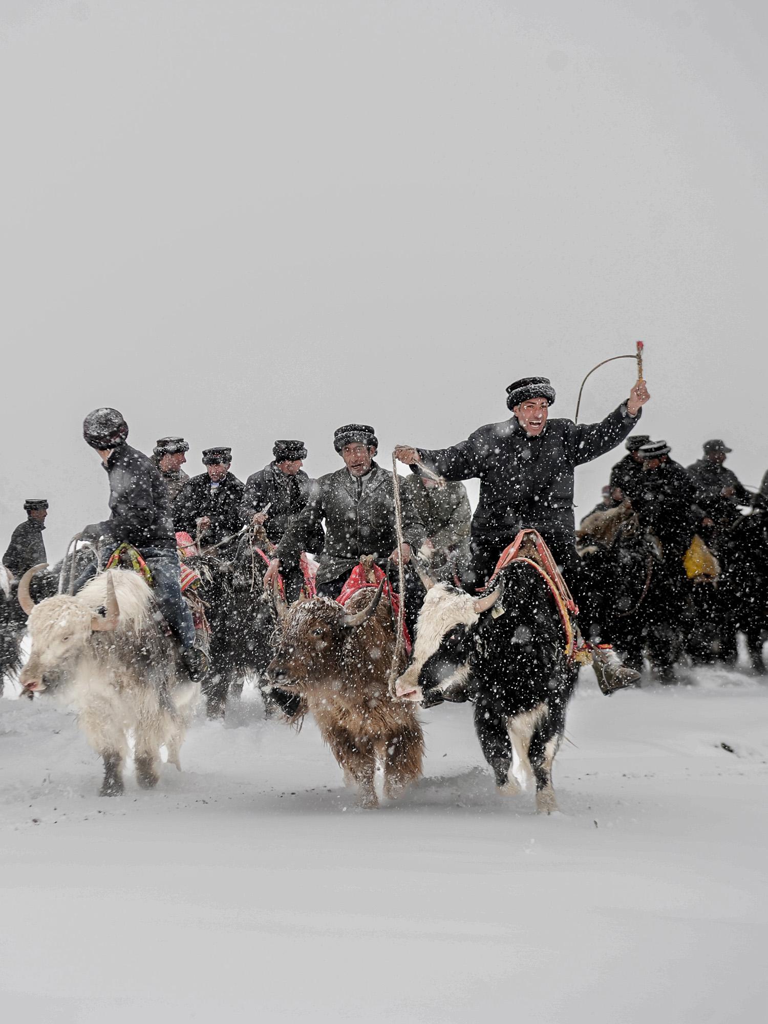 风雪交加也挡不住牦牛叼羊赛勇士们的豪情。在塔县观看叼羊比赛，运气好的人...