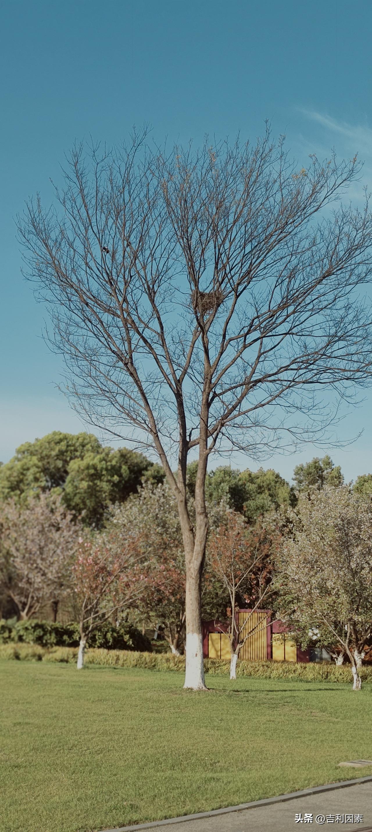 古人没有厕纸怎么上厕所?古人怎么上厕所的不知道，但几十年前乡下人上厕所怎么擦屁股