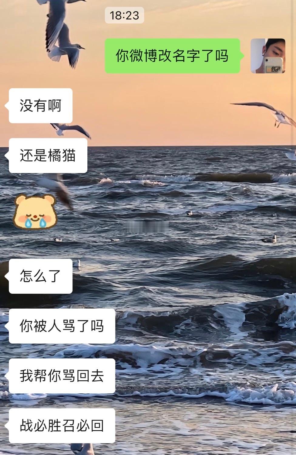 战斗力极强的粉丝小宝 所以你们不要惹我哈哈哈 ​​​