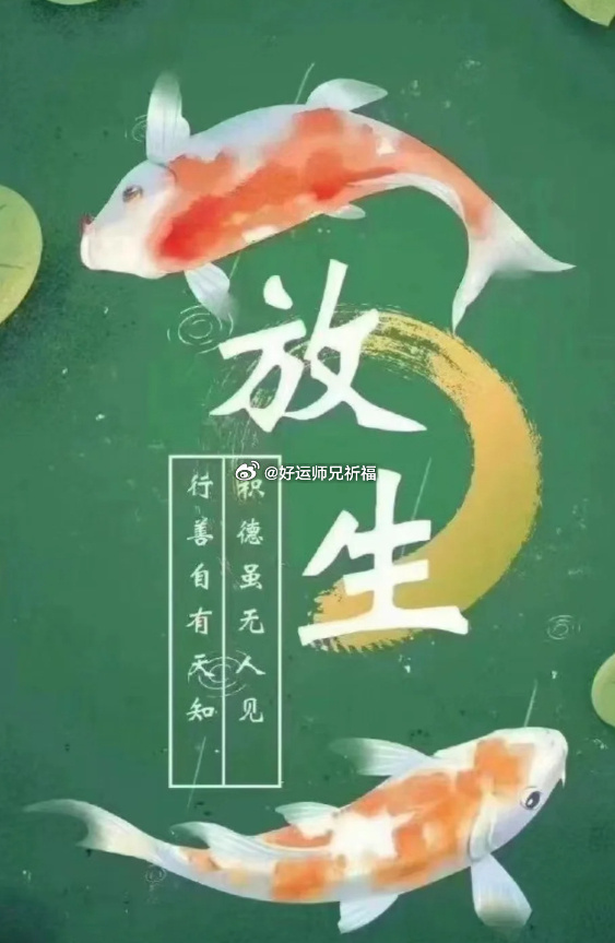 常行放生者，能得无量福报，龙天护佑、诸佛菩萨赞叹加持，远离一切天灾人祸，长寿、健