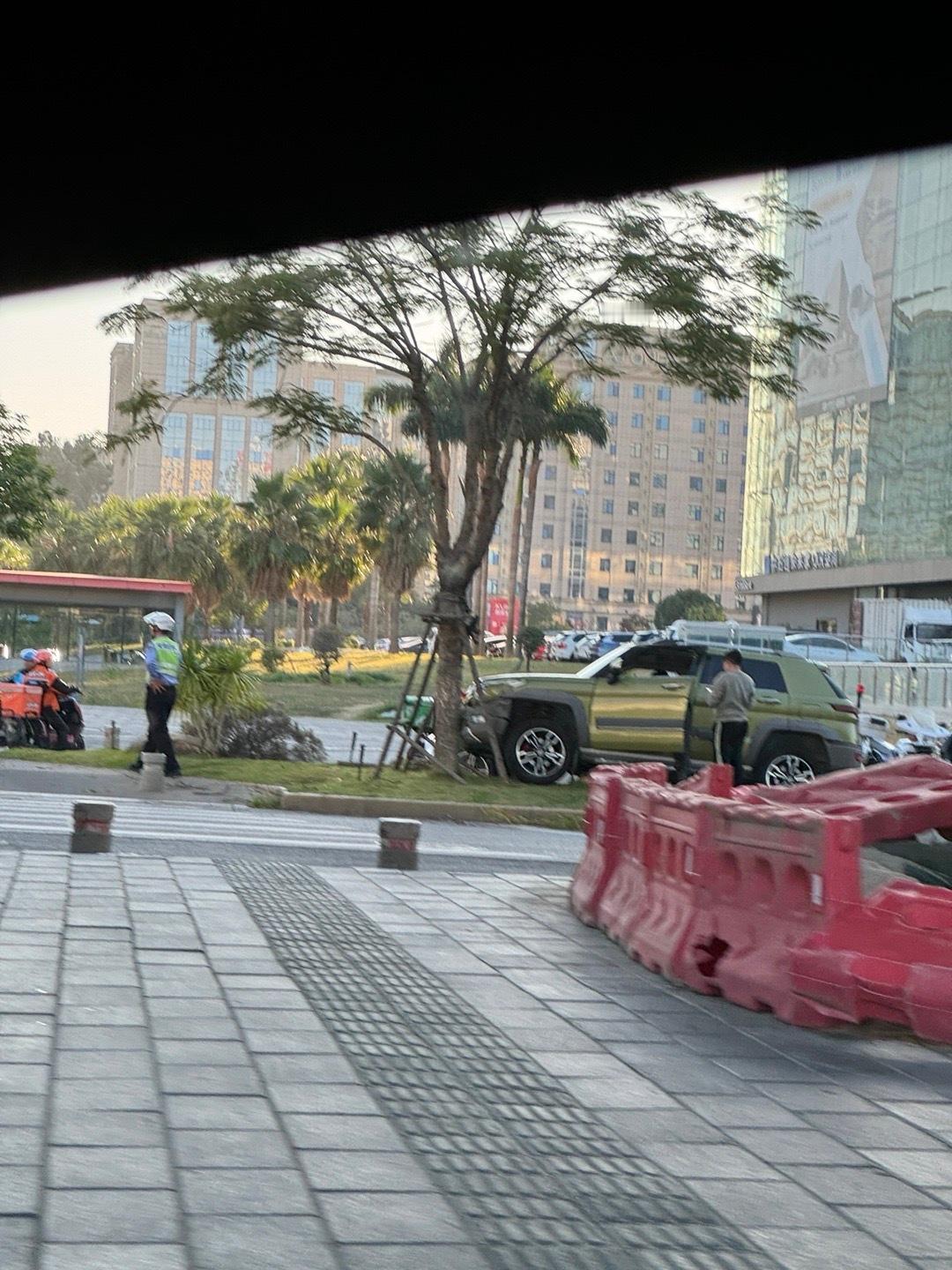 不懂就问，到底什么情况下能开着车撞树上去  