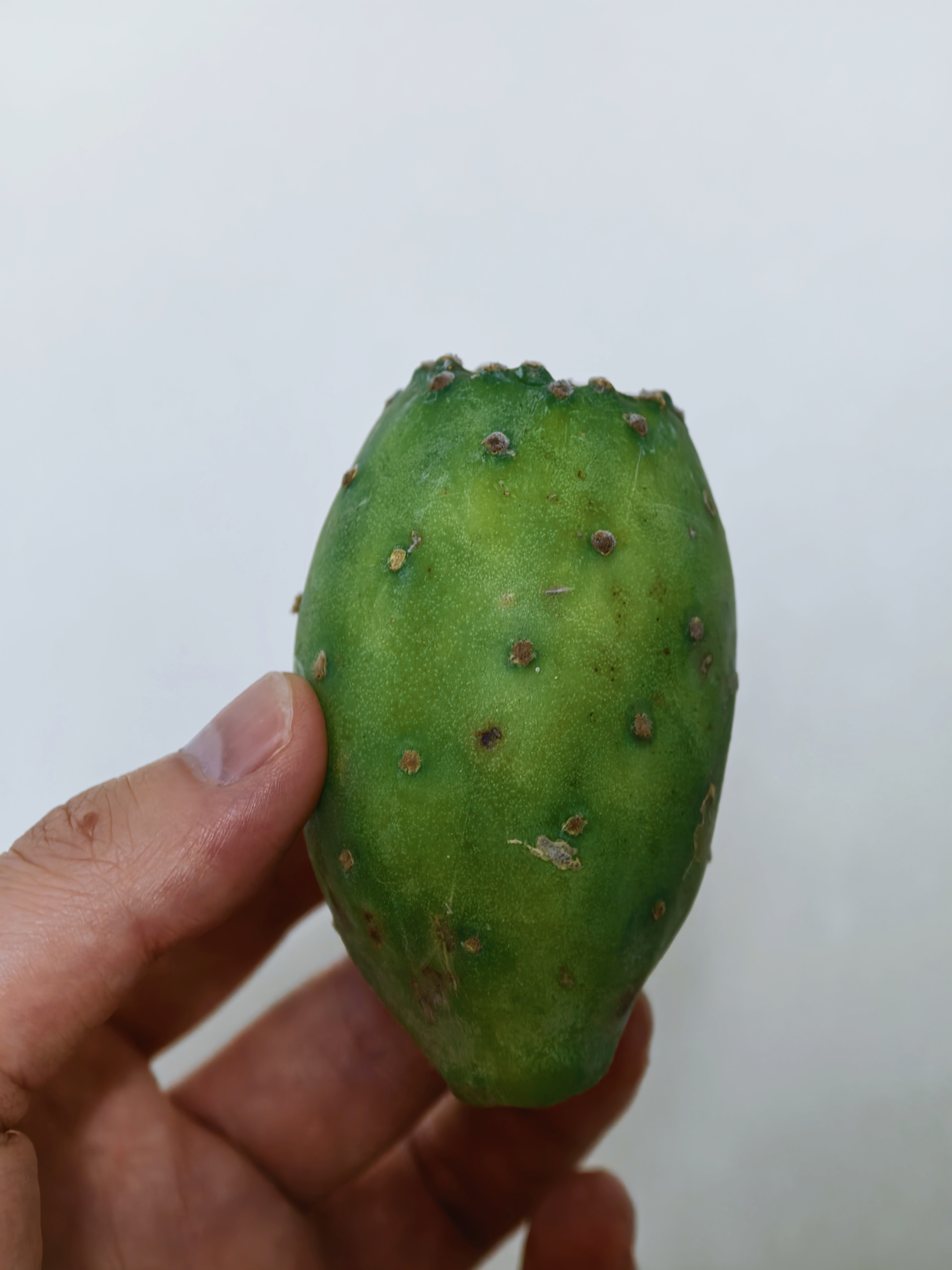 有人吃过仙人掌果吗？？？真还挺好吃的 青瓜味且甜甜的女朋友就爱买这种邪门水果怎么