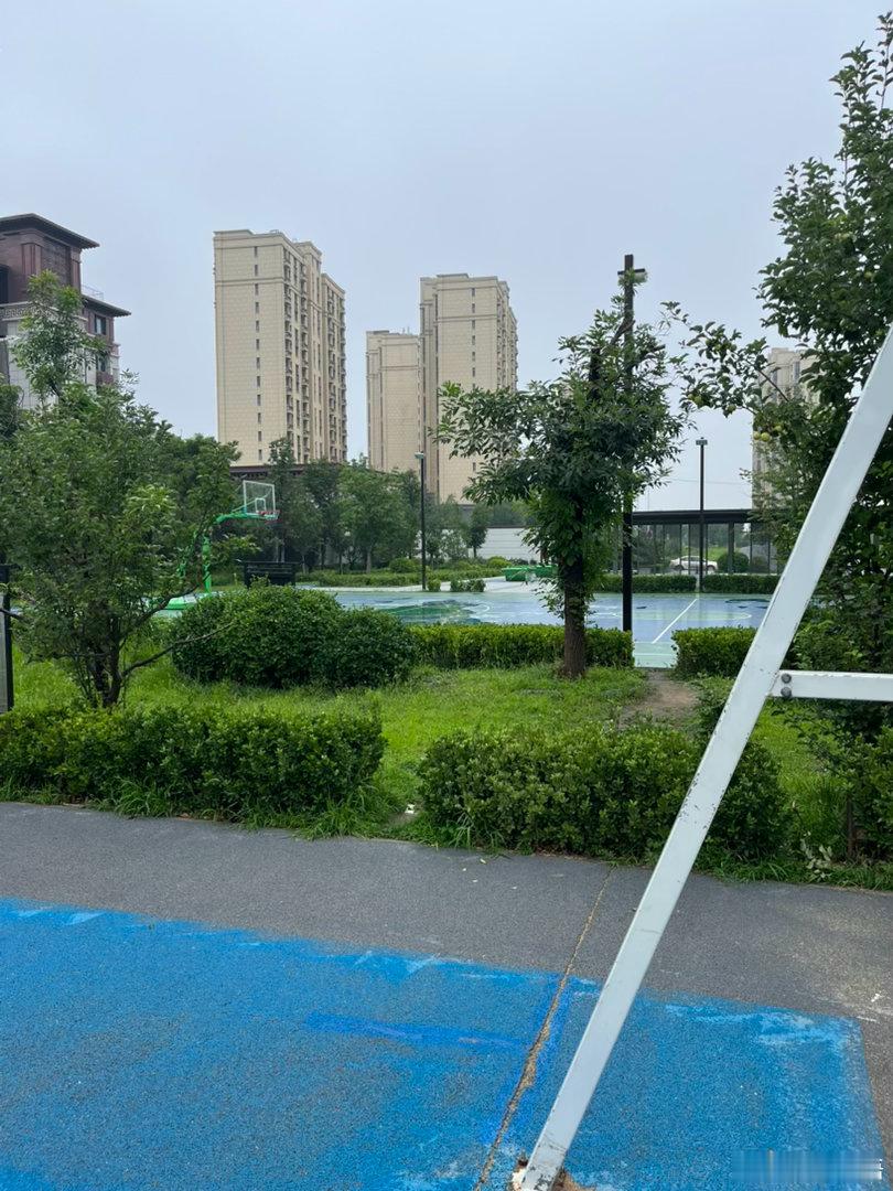 雨后的球场 