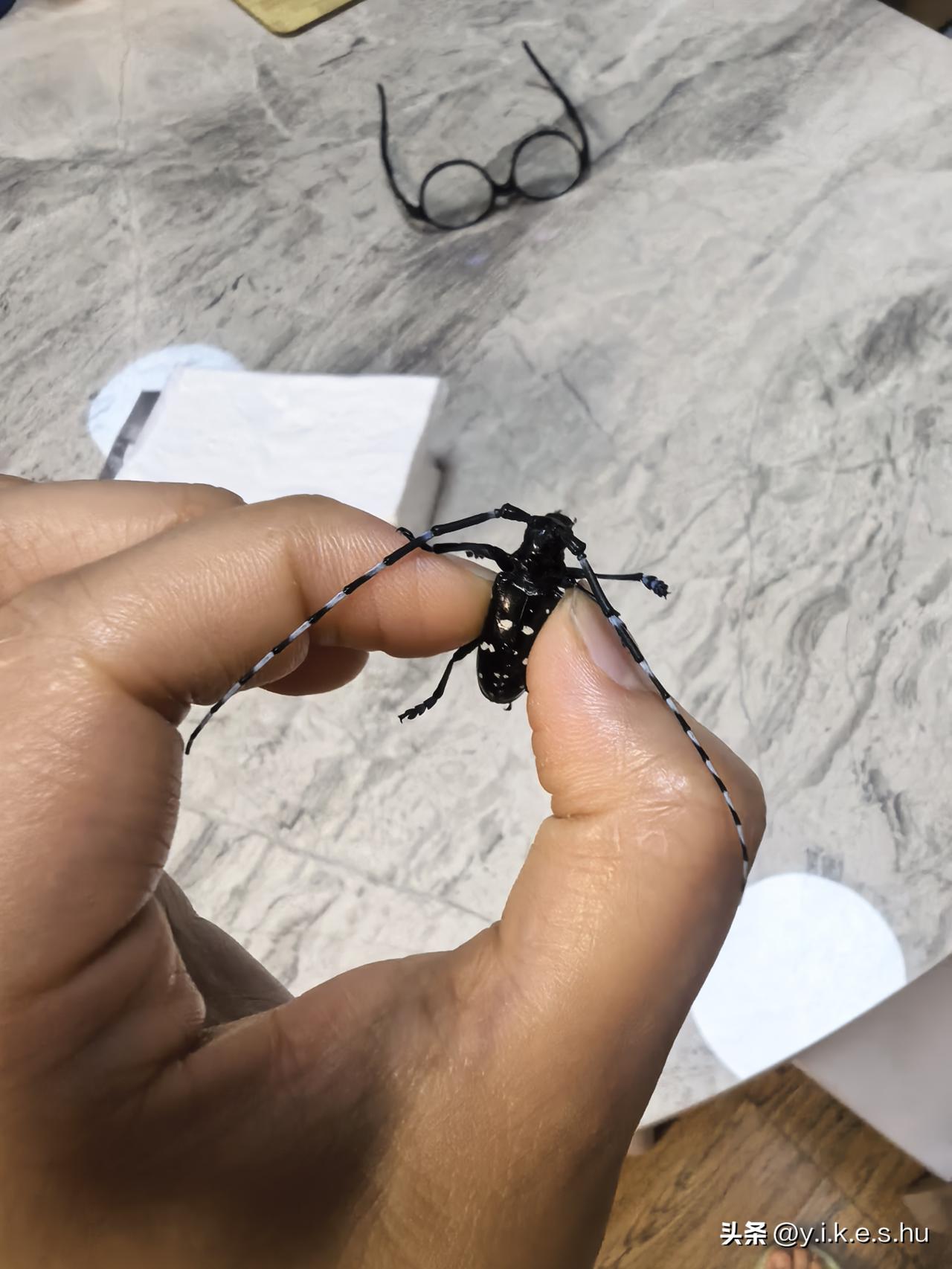 这是什么，小时候的玩具，现在不记得名字了