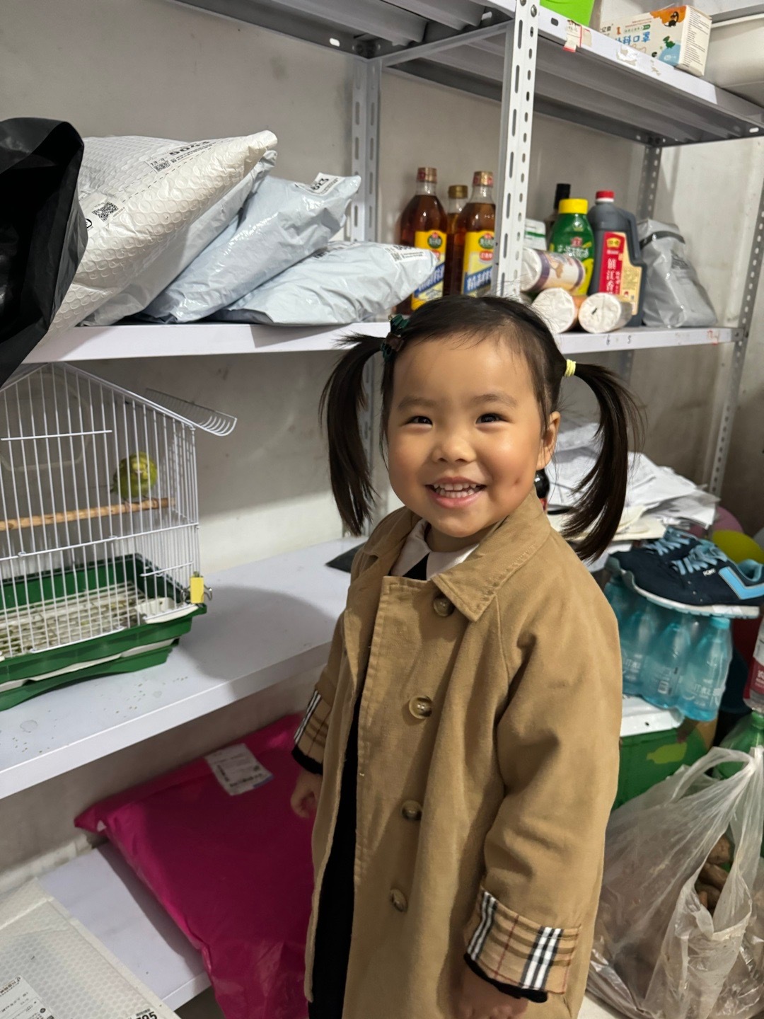 小孩最近特别喜欢虎皮鹦鹉。鉴于之前兔子，鸭子，猫咪，我没答应她养鹦鹉。于是她每天