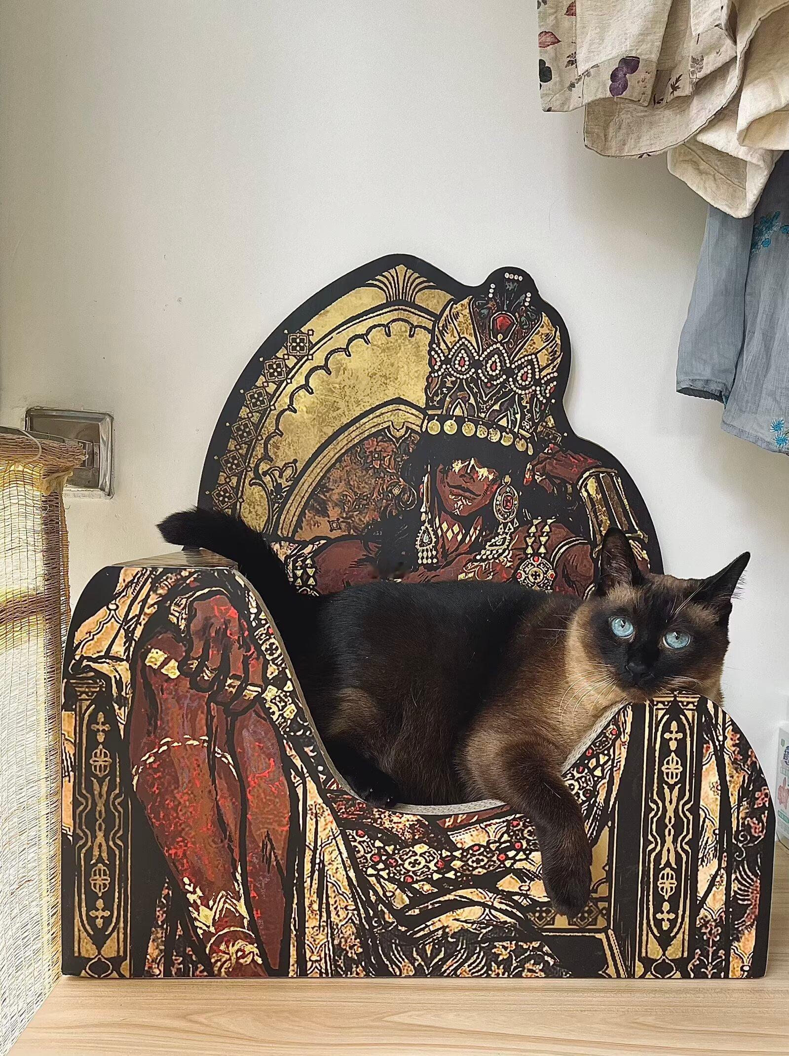 猫之大苏丹抱不下 ​​​