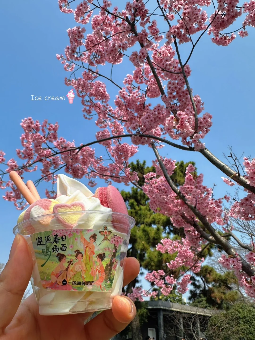 春日解压方式：喝牛奶、晒太阳、逛玄武湖🍃