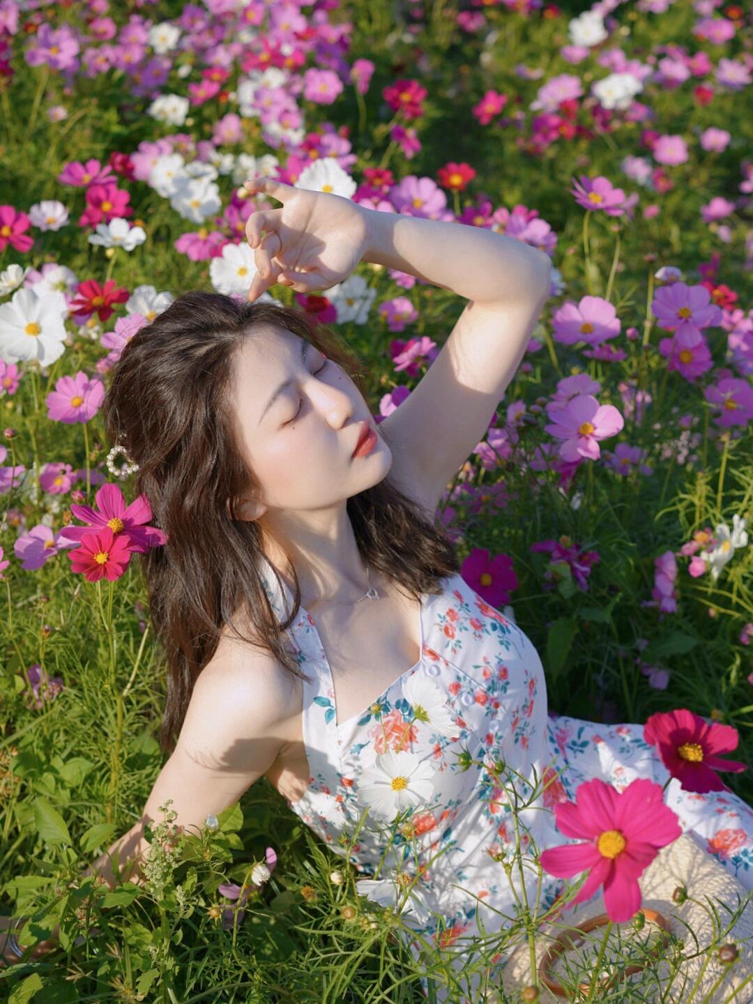 『半窗月痕·临江仙·格桑丛中沐晴柔』
 
暖日倾洒千重锦，格桑开遍平芜。粉白嫣紫