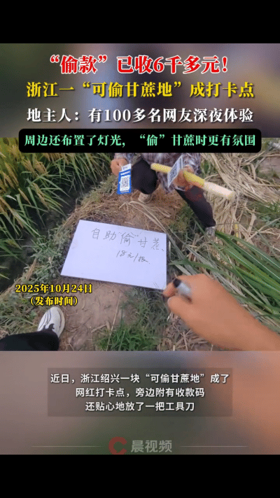 “太有头脑了！”浙江一甘蔗地甘蔗被“偷”了，地主人却高兴的合不拢嘴了，并且还在地