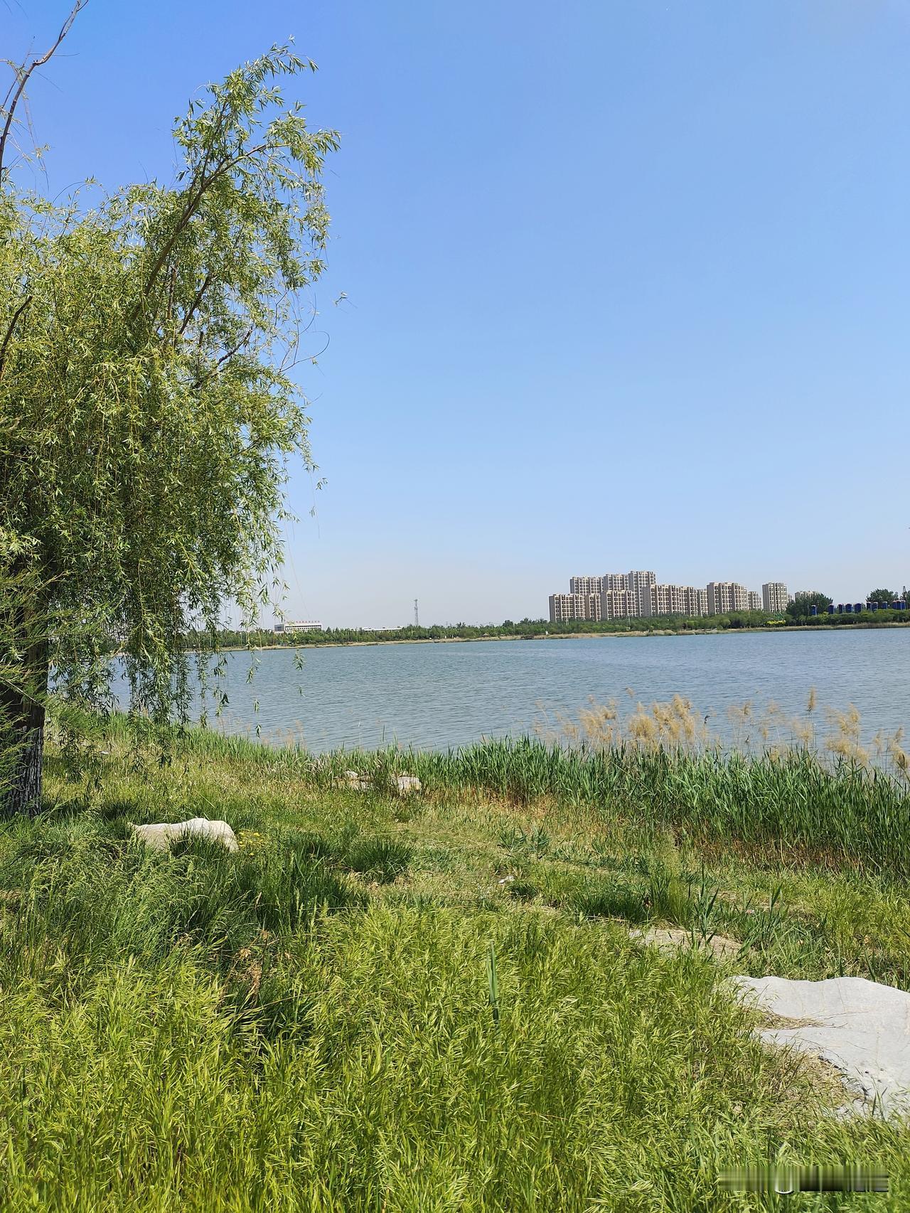 今天是风和日丽的一天，如果不开心，那就去骑车吧
一个人骑车真的很快乐
不需要迁就