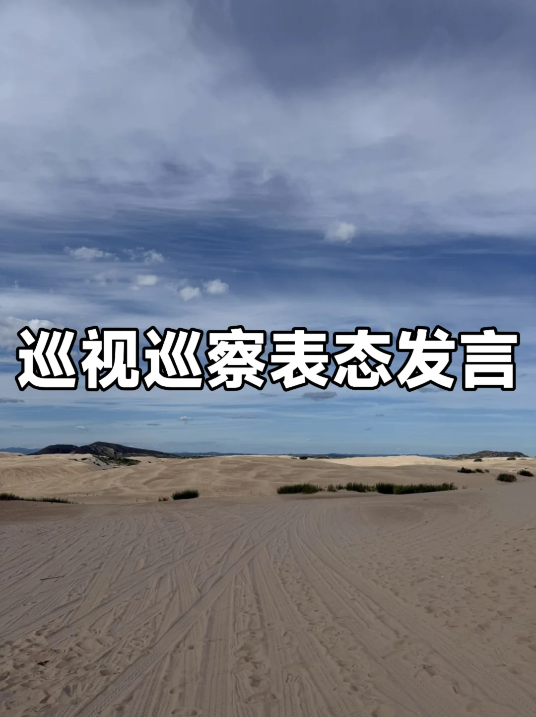 体制内：巡视巡察表态发言