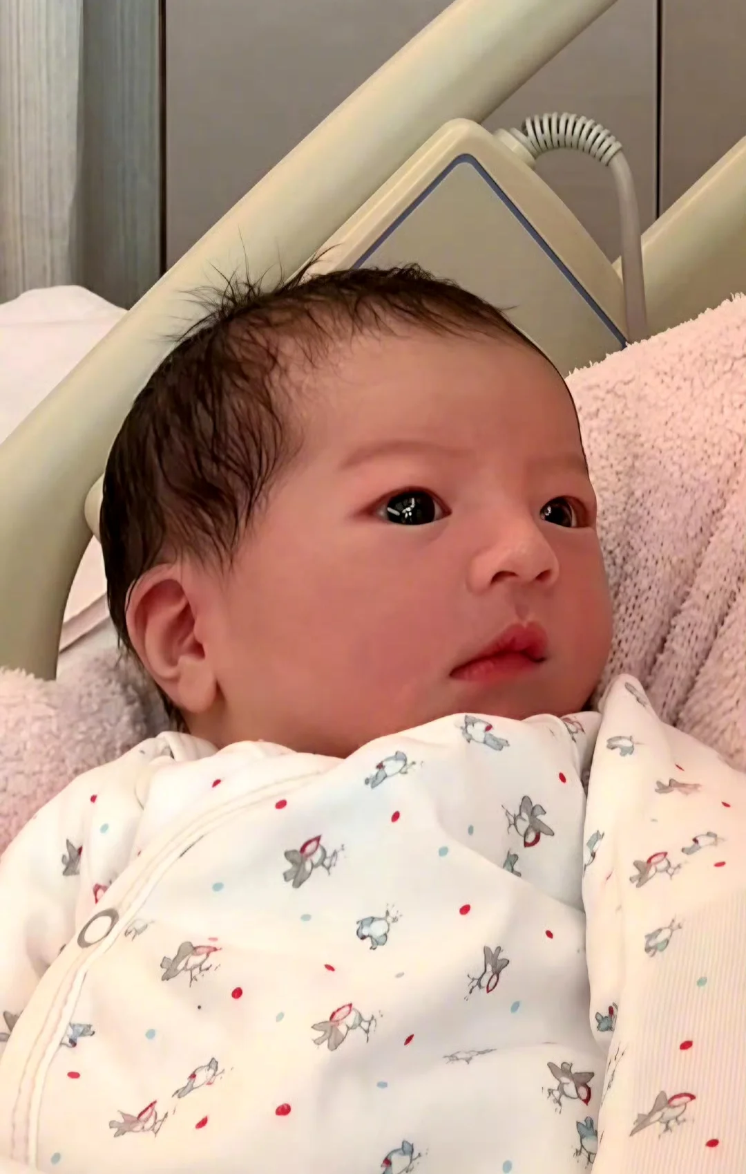 三胎女儿太好看❗怪不得郭富城忍不住了