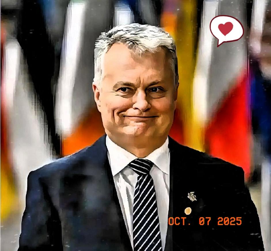 立陶宛又双叒叕出招了！

宣布禁止我国生产的能源设备零件，理由是“为了保护我们的