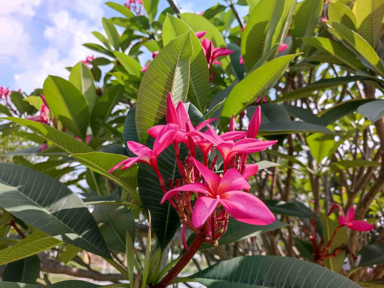 我的今日状态：🏃‍➡️运动
我这里的天气：☀️晴天