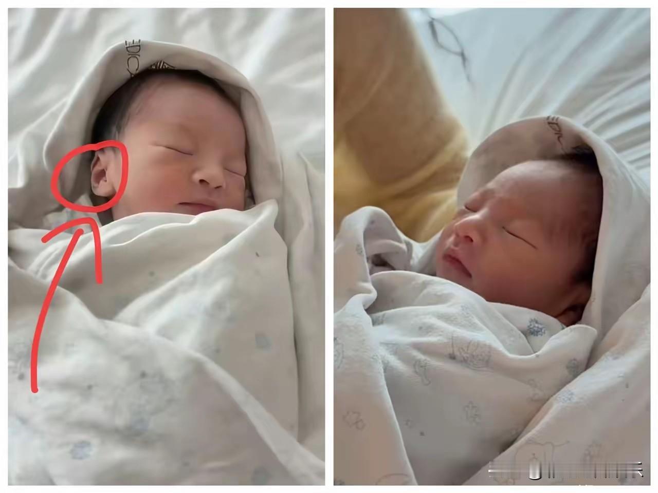 汪小菲儿子面相太好了，这小子真会投胎，一脸福相，天庭饱满地阁方圆，大耳垂高鼻梁一