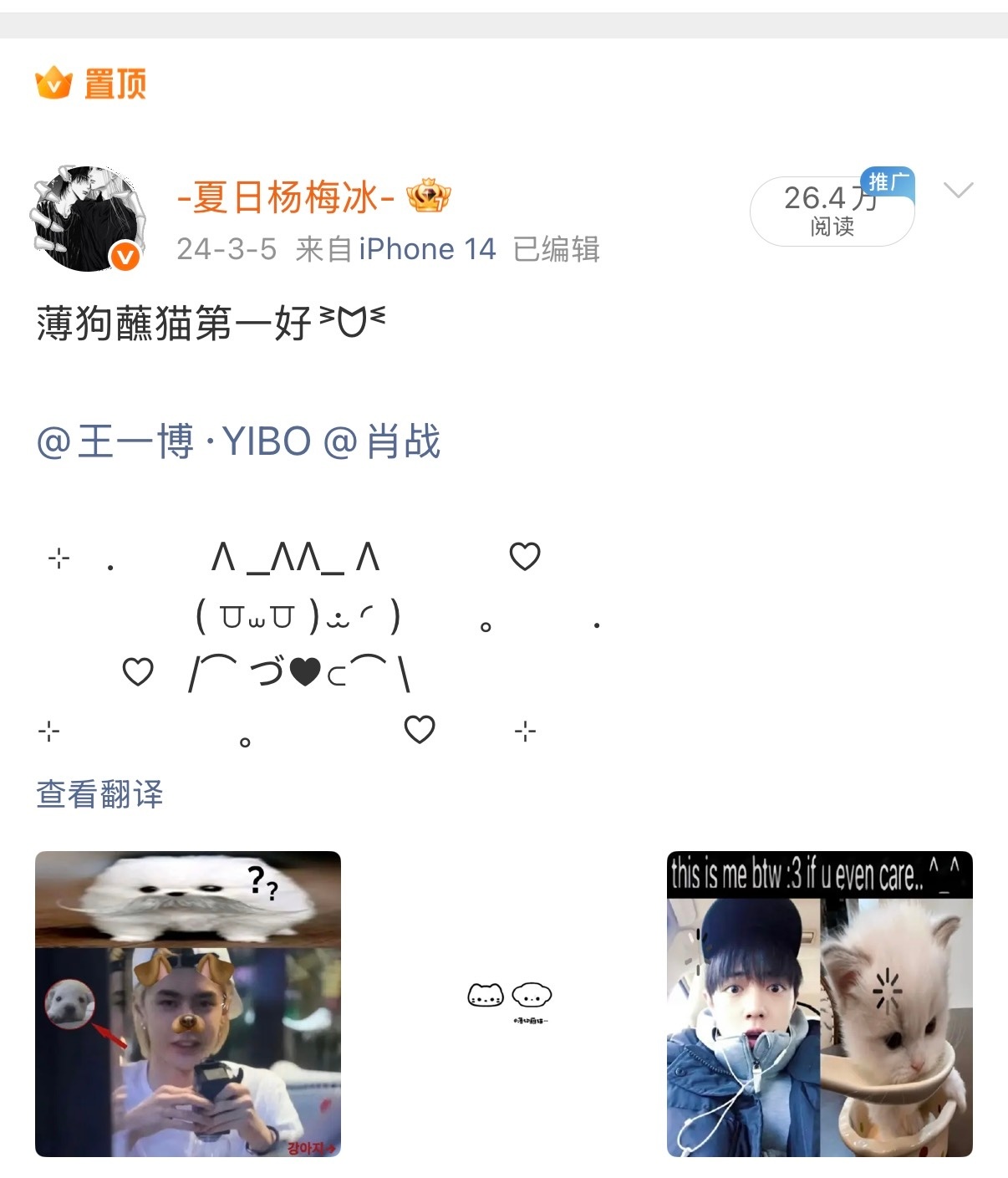 新改了置顶！薄狗蘸猫你们萌萌！ 