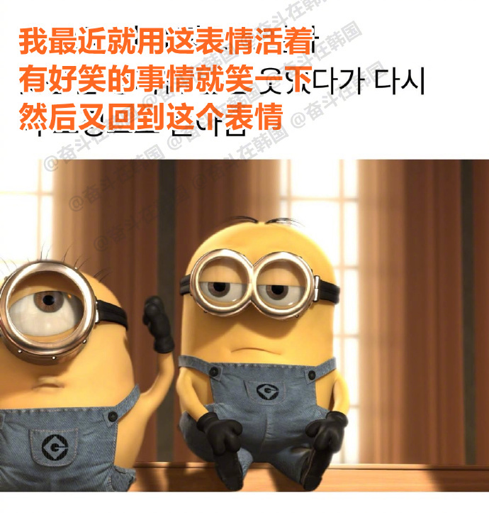 我最近就这表情活着： 海外新鲜事 热点现场