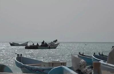 长期战乱不光让当地老百姓流离失所，连那些无辜的濒危动物，也被折腾得快要灭绝，每看