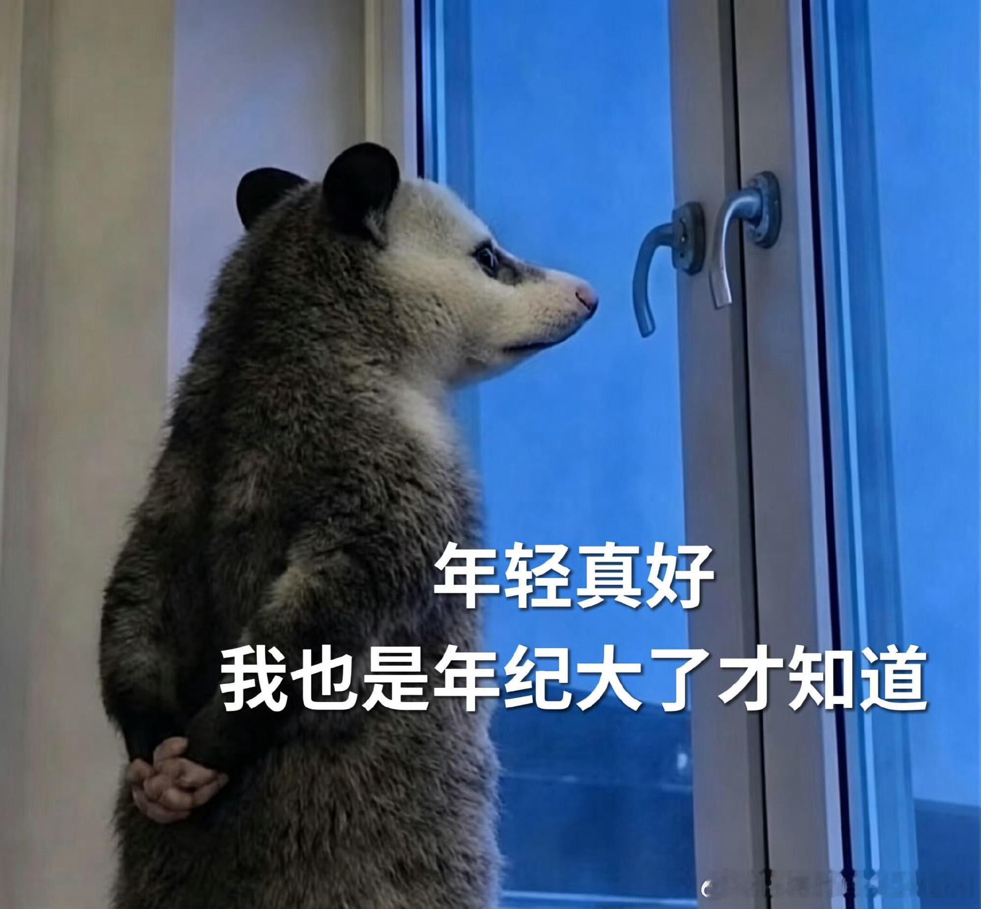 After Effects 重大更新，AI Object Matte 替换传统 