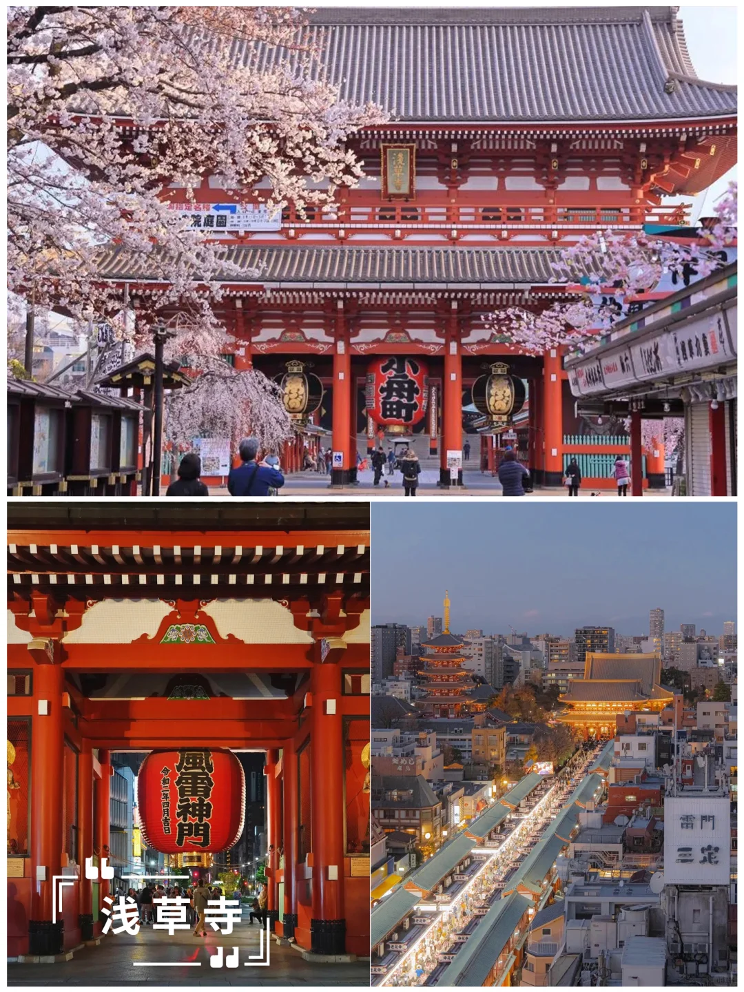 日本旅游4城7天人均7千私家团也太省心啦