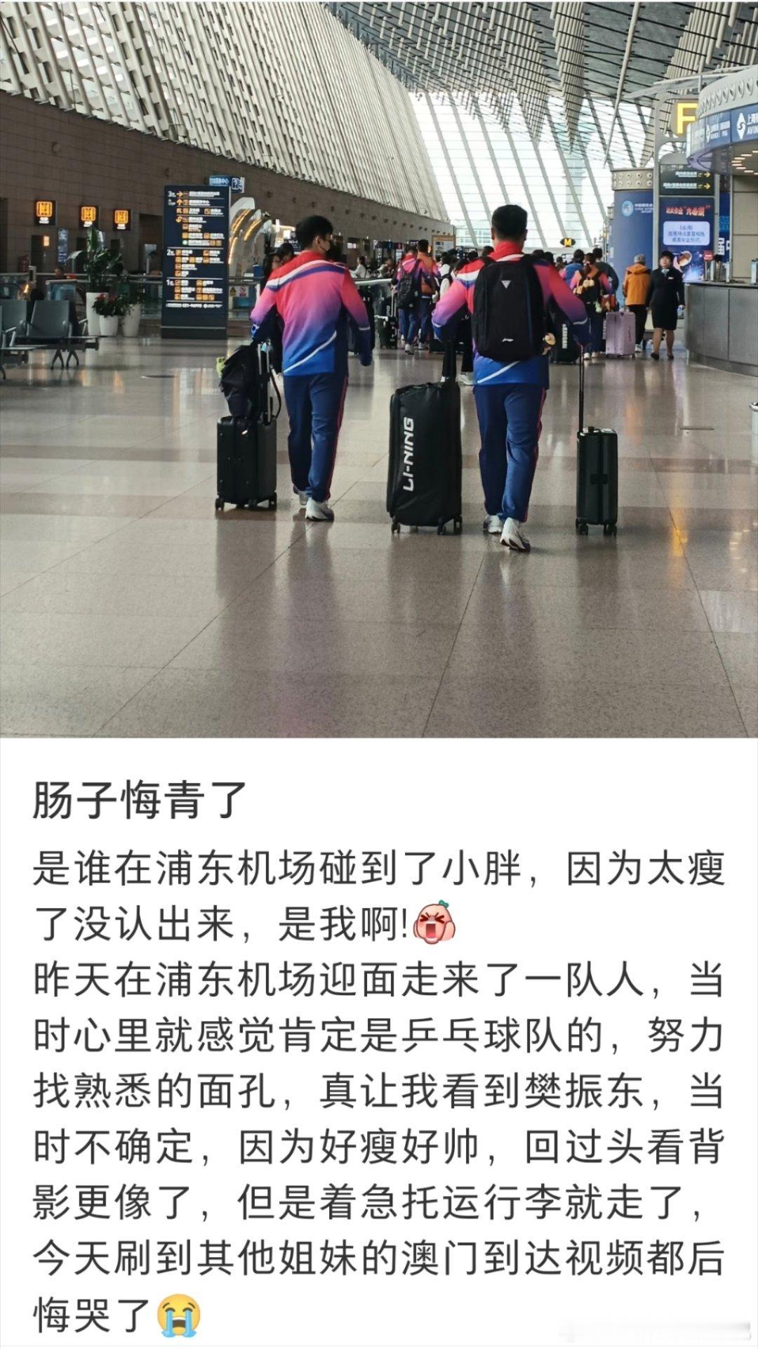 球迷因为樊振东太瘦没认出来[允悲][允悲] ​​​