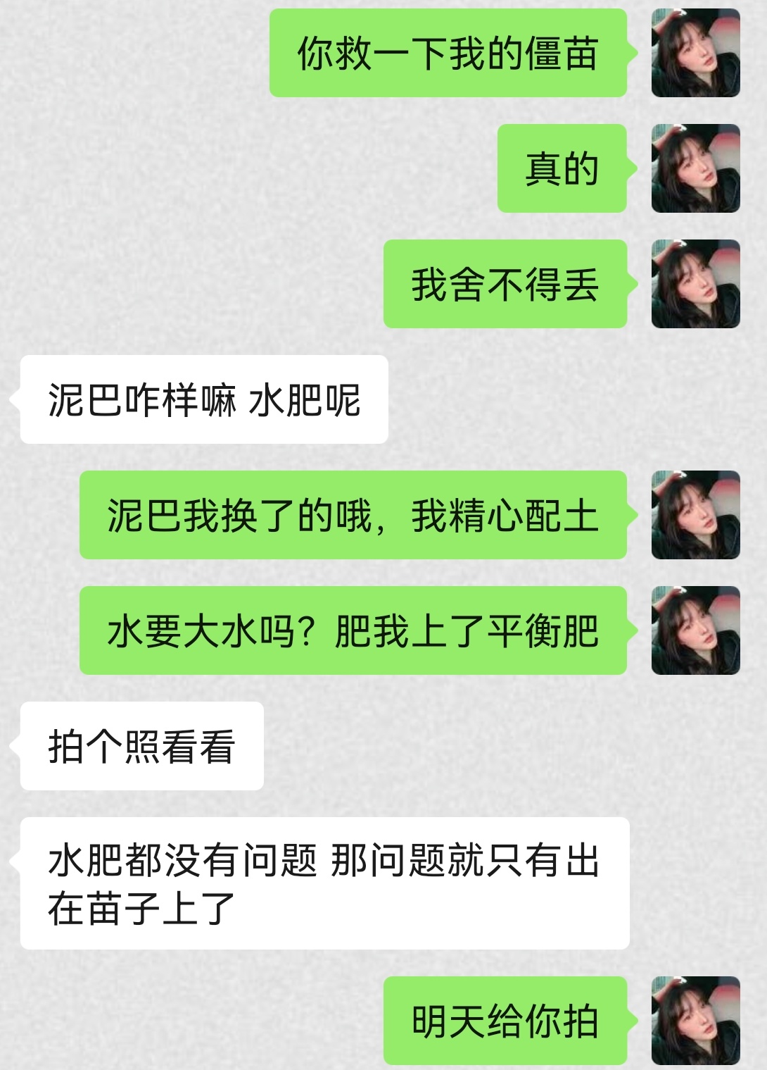 给我当供应商真不容易，不仅要给我供货，还要救我家里的苗，给我提供种植技术指导哈哈