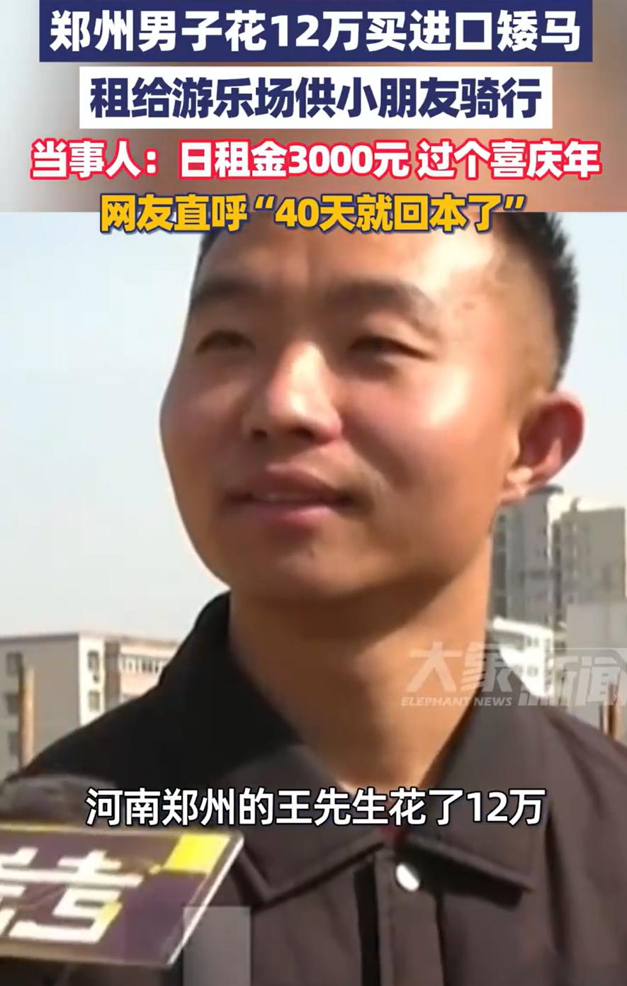 万万没想到！河南郑州，男子以前花12万买了一匹进口矮马，当时身边的家人朋友都不理