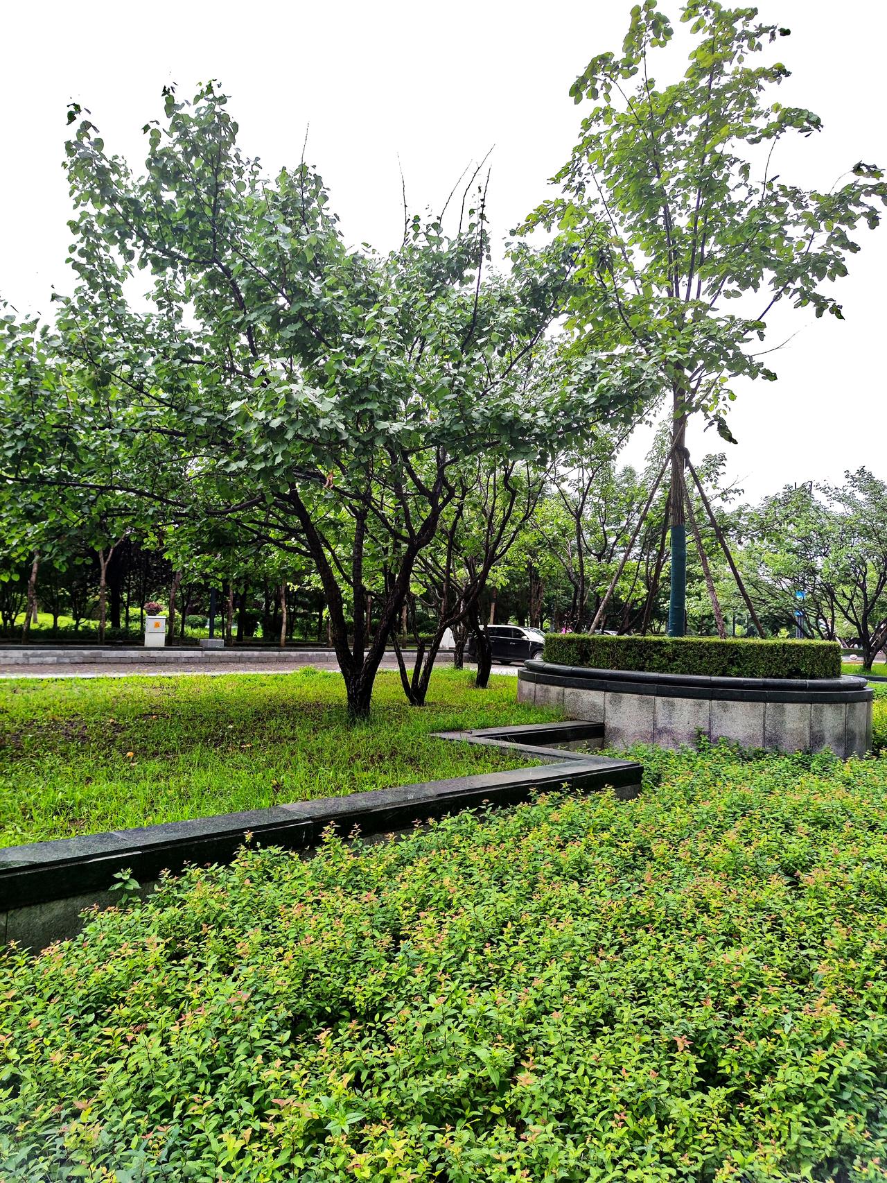 沈阳新世界博览会外景
    地处沈阳浑河北岸，青年大街西侧的新世界博览馆，周边