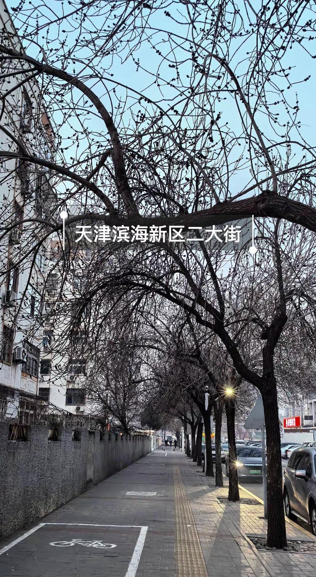 看看现在的天津看看六安