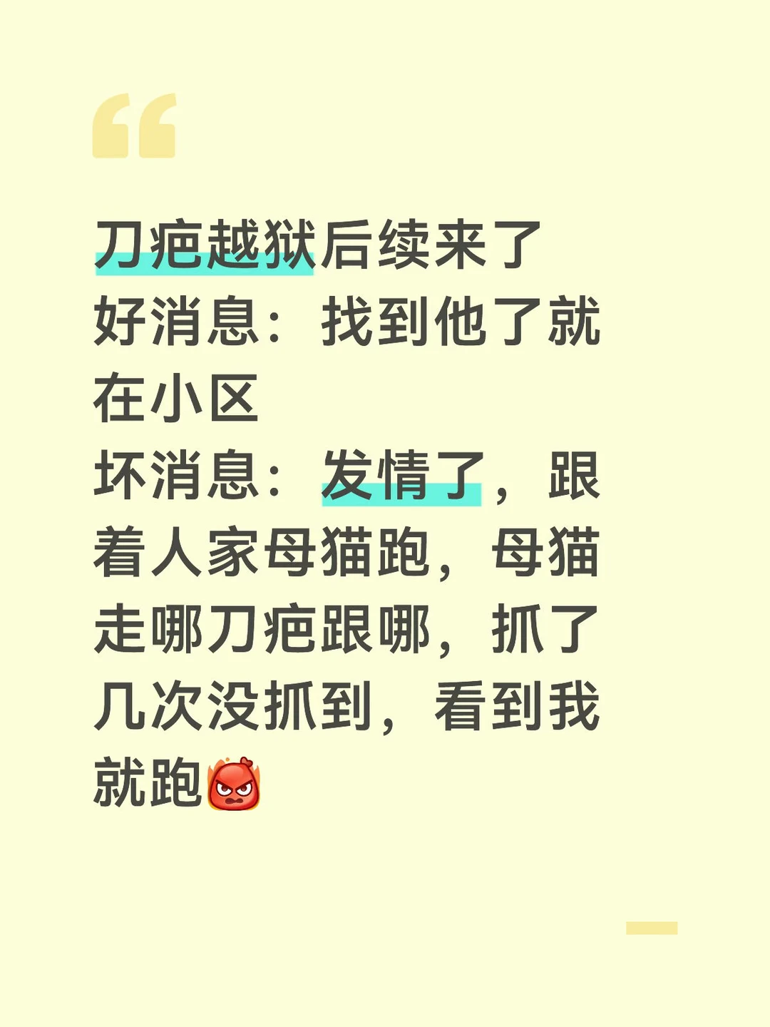 刀疤越狱后续来了 好消息：找到他了就在小区老地方