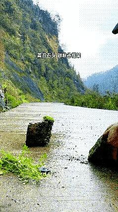 这事儿看着挺热闹，说白了就是“有水”的假造味儿太冲了。
原文里那句“这假造得真是