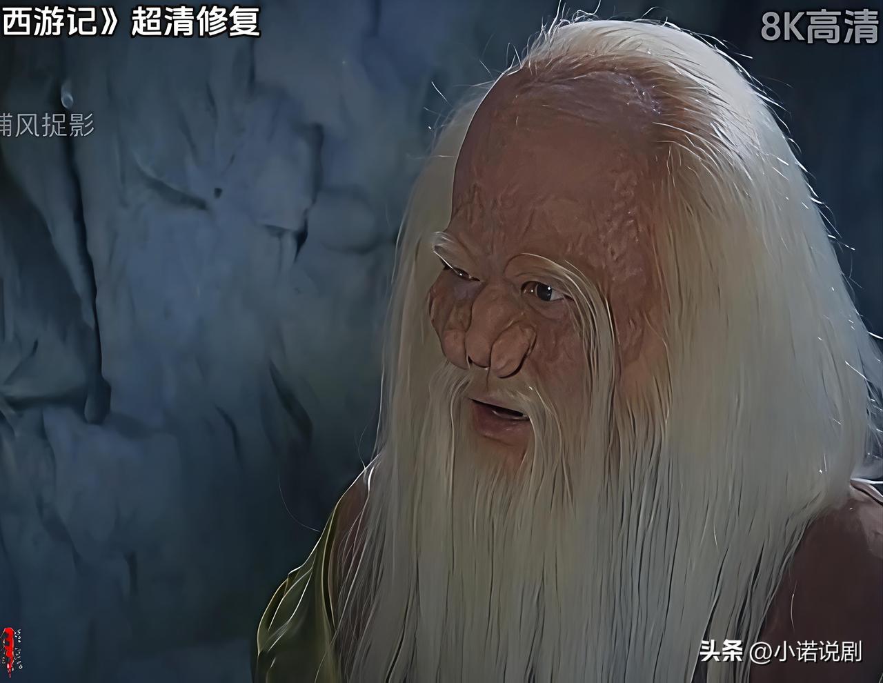 通天河老龟，也叫老白鼋，他原为通天河水府之主，本体是一只巨型老鼋，已修行一千三百