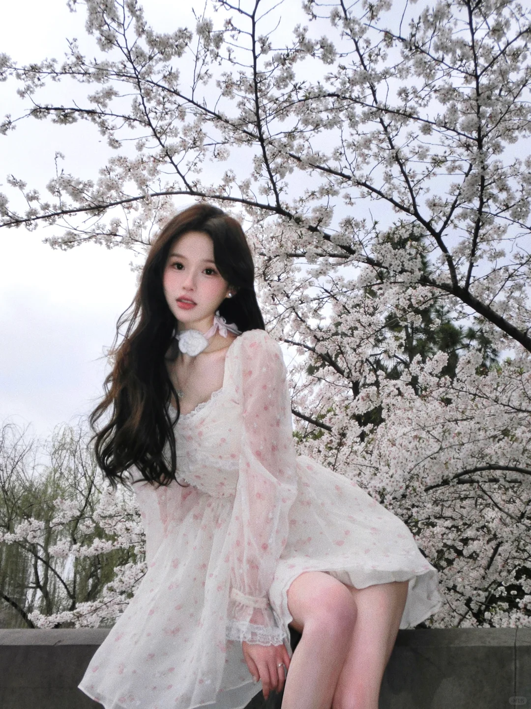 ⊹꙳. 风传花信🎐‧₊˚
