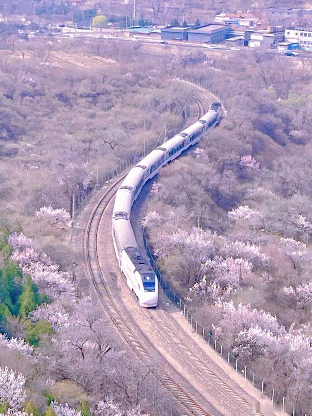 花海小火车🚄攻略1. 到居庸关P2停车场（免费）下车，步行导航关沟花海栈道，走