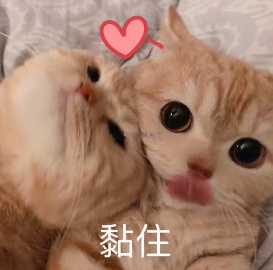 每次一见到🐺就特别想咬他，在家嗷呜一口咬出门也嗷呜一口咬上次🐺陪我去医院看颈