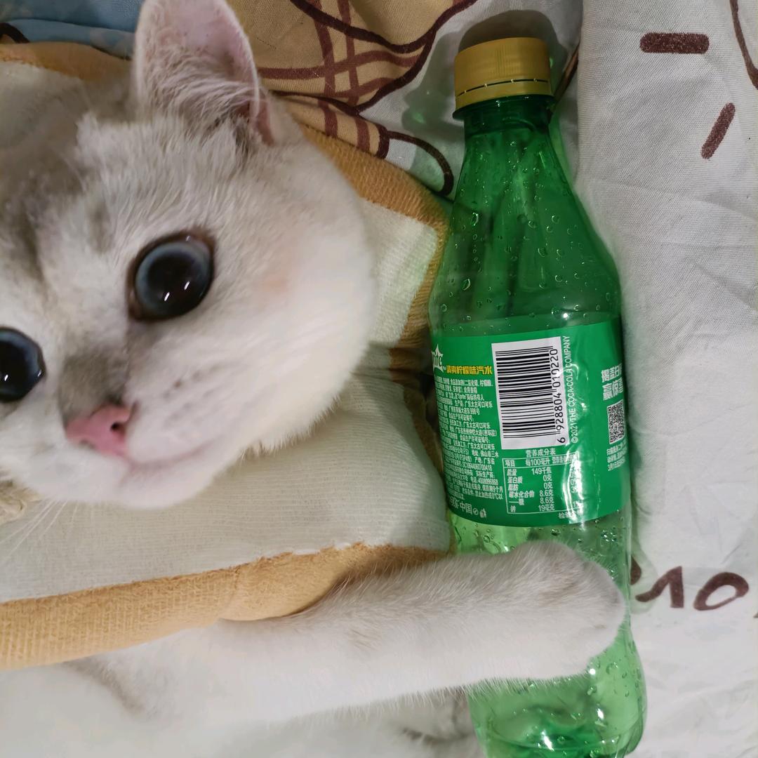 你的星可爱