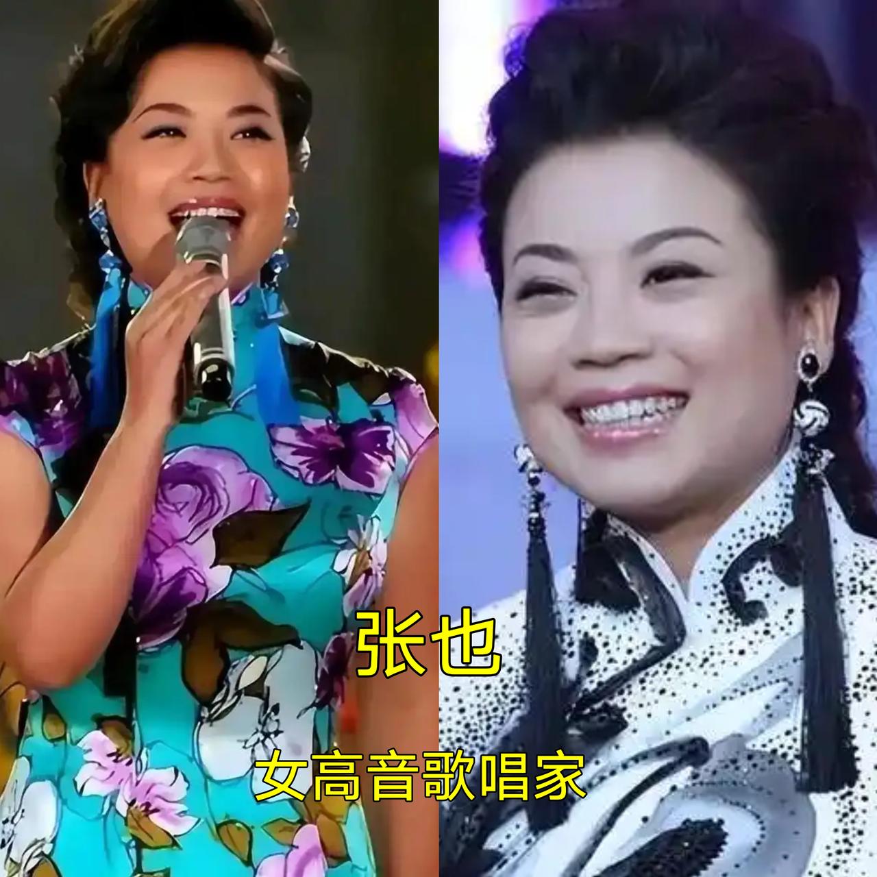 12位家喻户晓的歌唱家，谁的歌声让你百听不厌？

我喜欢韦唯的金声玉振，其经典歌