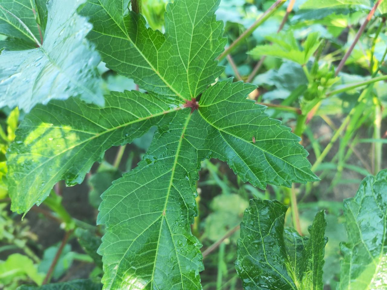 今天偶遇多年未见的老同学，吓我一跳！她身材保持得也太好了吧，跟二十多岁时没差，完