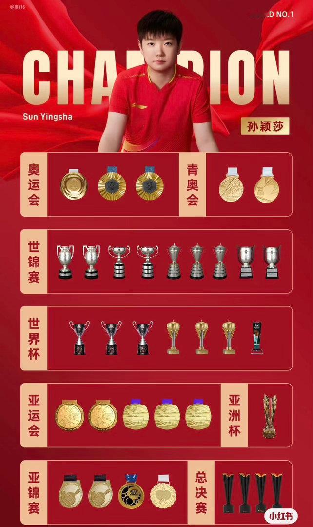 乒乓球  乒乓球领域：孙颖莎获官方最高认证2026年4月13日，国际乒联官网发布