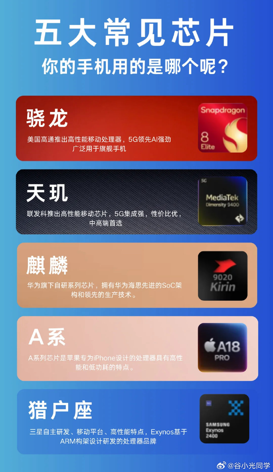 你们手机用的是哪个芯片呢？算上小米最近出的玄戒01，五大芯片会不会变成六大芯片呢